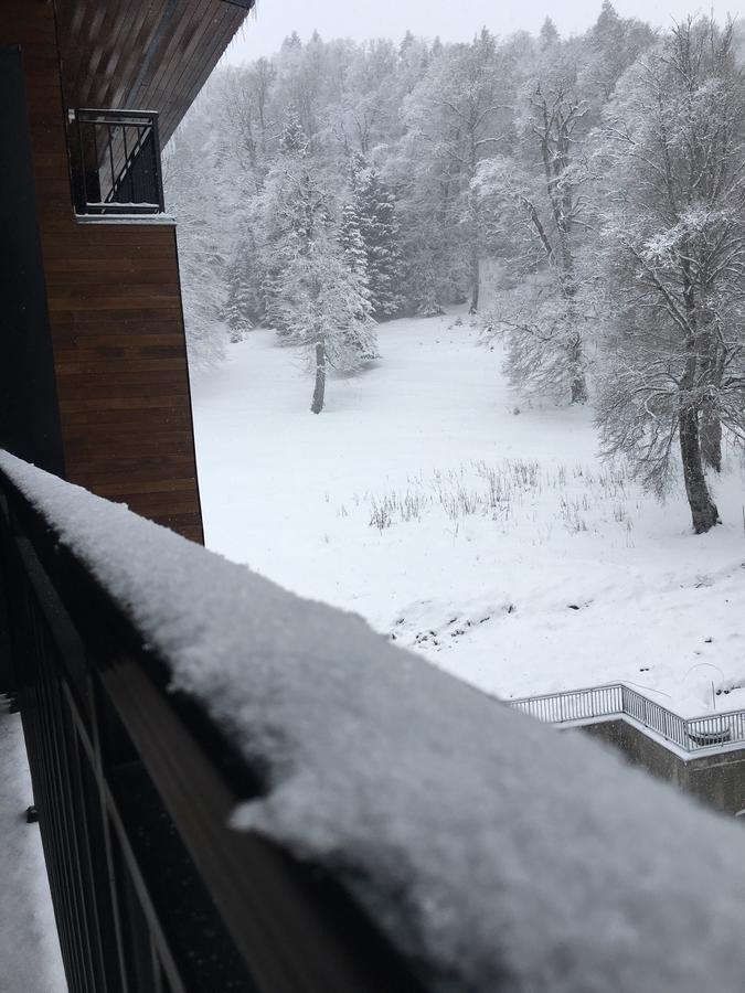Area Park Bakuriani Leilighet Eksteriør bilde